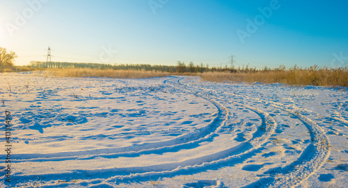 Snowy white frozen field in wetland under a blue bright sky in sunlight in winter, Almere, Flevoland, The Netherlands, February 11, 2020 