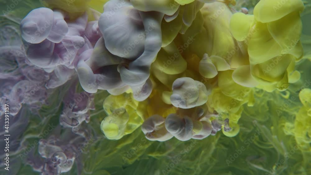Beautiful, stylish, calming and multi colorful background of inks dropping in water and dissolving. Slow motion studio shot. Beautiful, stylish, calming and multi colorful background of inks dropping in water and dissolving. Slow motion studio shot.