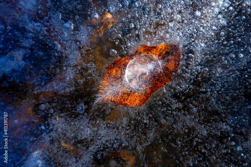 Fototapeta Naklejka Na Ścianę i Meble -  氷の造形