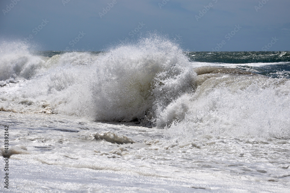 Fototapeta premium wave on the beach
