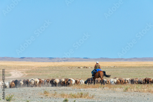 Farmer herding sheep, Almaty, Kazakhstan