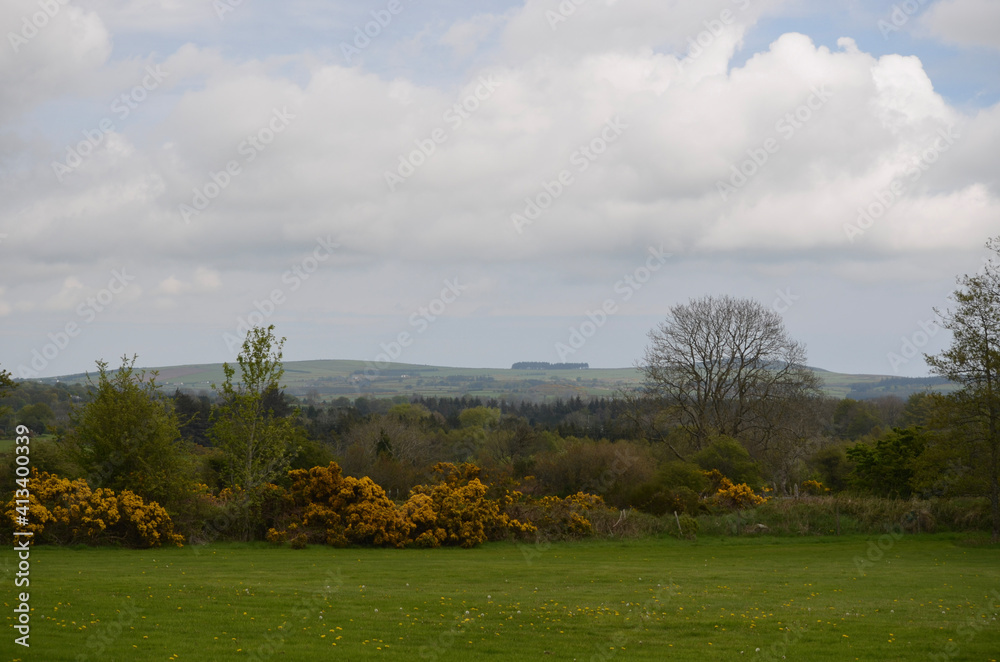 Fototapeta premium autumn landscape with trees and clouds