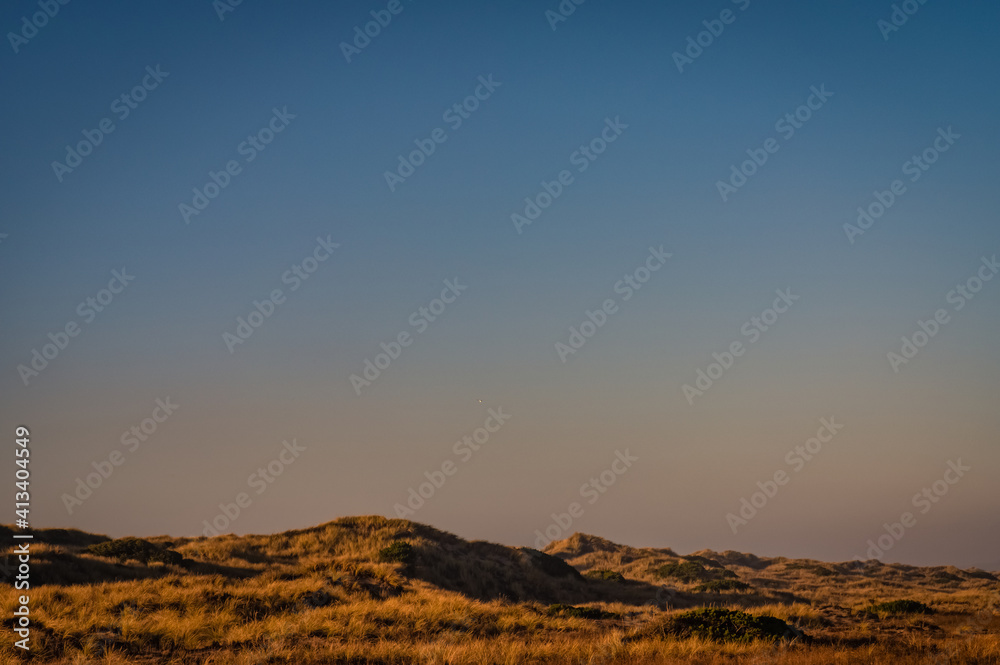 Grass dunes at sunset, copy space for text Grass dunes at sunset, copy space for text