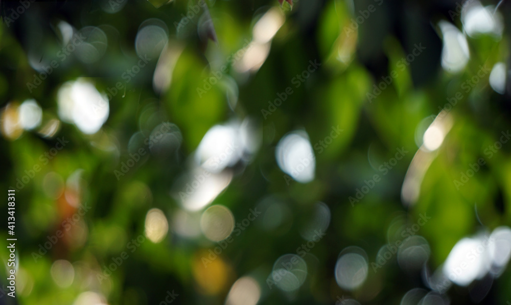 Obraz premium nature fragment of artwork unique concept bokeh effect abstract background bright for design