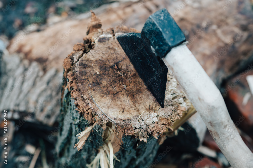 ax in the tree stump chopping wood outdoors travel ax in the tree stump chopping wood outdoors travel