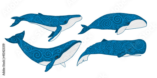 Wild Whale Set with Ethnic Ornaments