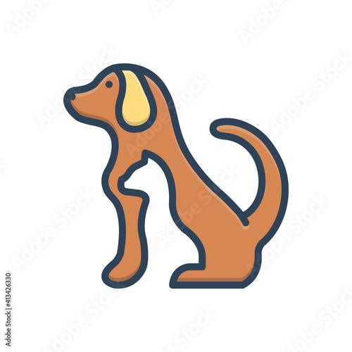 Color illustration icon for pet
