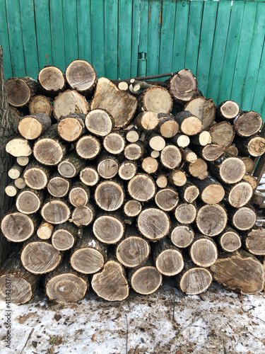 The background consists of saws of thick logs stacked on top of each other in the form of a woodpile. Annual rings are visible on the cross-section of the trunks. 