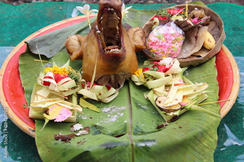 roast pork as an offering for Hindu religious ceremonies in Bali