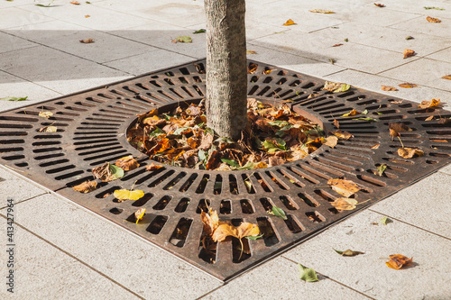 Metal drainage grate on the sidewalk around a tree in Slovenia photo