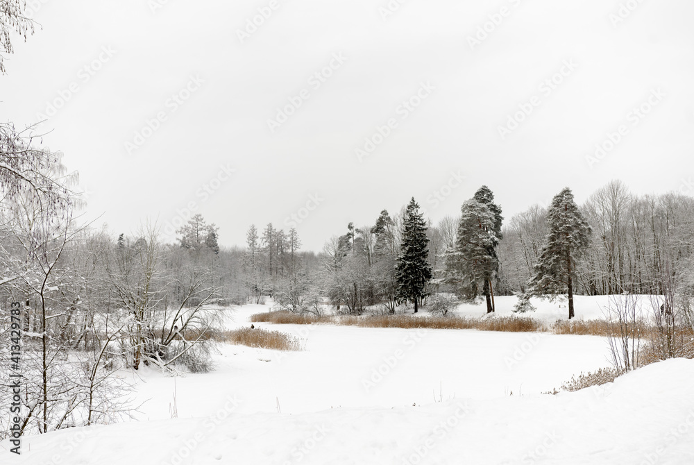 Winter landscape. View of the frozen lake in the park. Winter landscape. View of the frozen lake in the park.