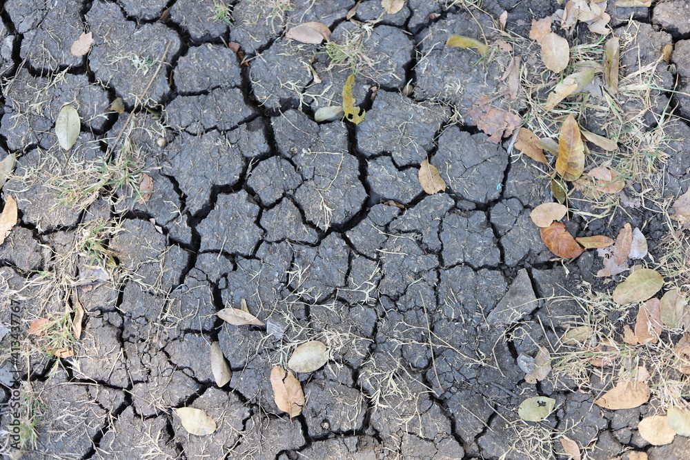 The ground is dry and cracking The ground is dry and cracking