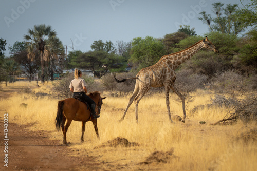Southern giraffe gallops past blonde on horseback © Nick Dale