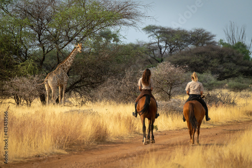 Southern giraffe watches two women on horseback photo