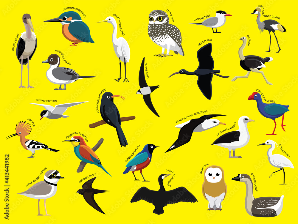 African Birds with Name Cartoon Character Set 1 African Birds with Name Cartoon Character Set 1