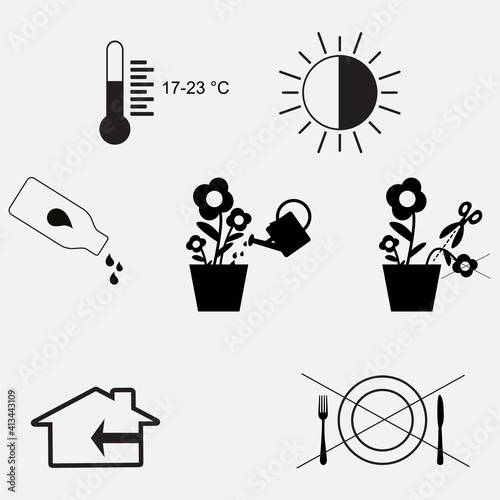 Instructions how to take care of potted plants