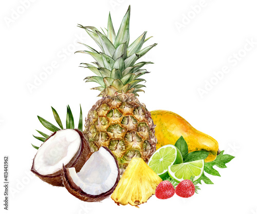 Fototapeta Naklejka Na Ścianę i Meble -  Pineapple coconut papaya lime strawberry composition watercolor illustration isolated on white background