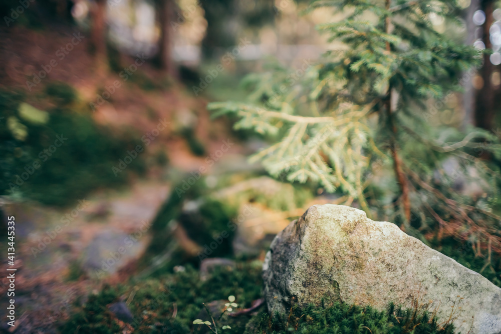 Fototapeta premium A close up of a rock