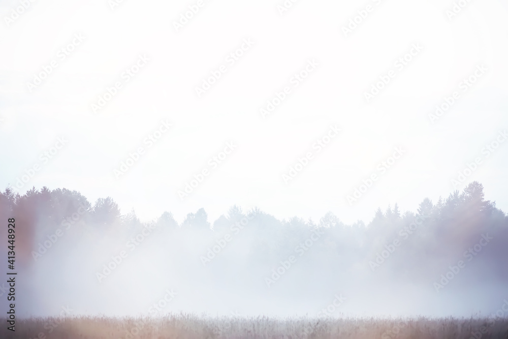 Fototapeta premium Fog in the field. Evening nature summer with white fog.