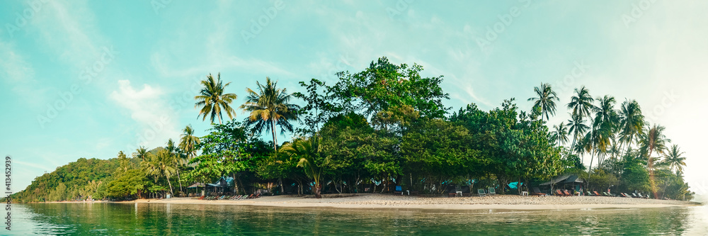 Tropical coast with palms and tropical plants, with a sandy empty wild beach. Panorama, banner. View from the sea to the beach Tropical coast with palms and tropical plants, with a sandy empty wild beach. Panorama, banner. View from the sea to the beach
