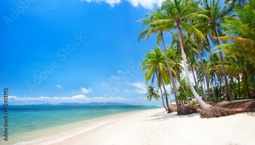 Fototapeta Naklejka Na Ścianę i Meble -  panoramic tropical beach with coconut palm