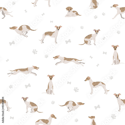 Whippet seamless pattern.  Different poses  coat colors set.