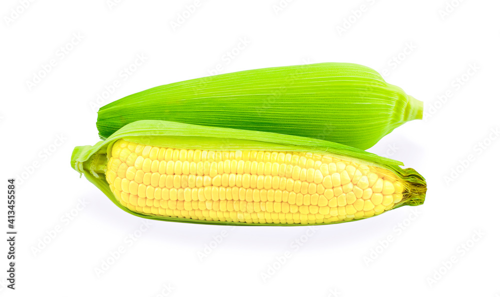 Corn isolated on white background Corn isolated on white background