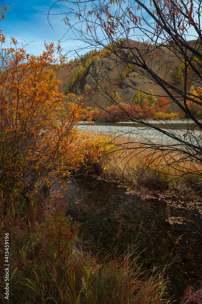 variety of autumn colors near the mountain river