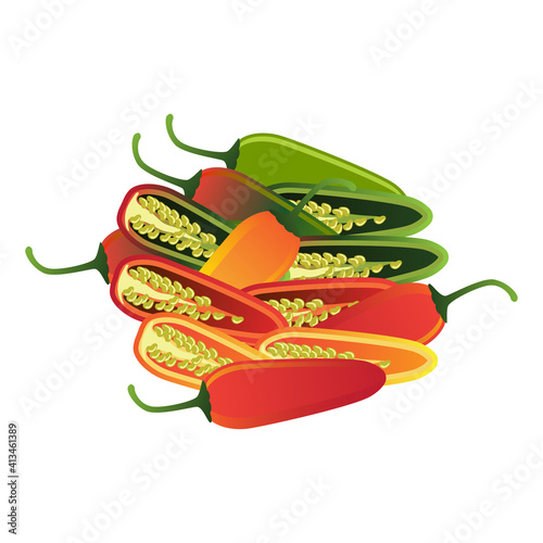 raw green, red, yellow, green jalapeno pepper. vector illustration