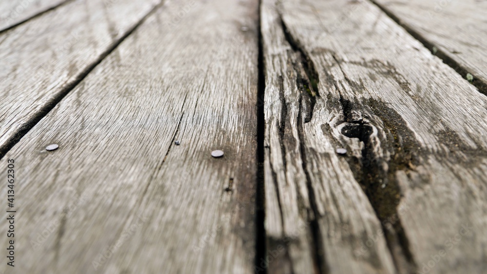 Obraz premium ironwood And actually, the ironwood tree (eusideroxylon zwageri) is one of the famous trees from the forests of East Kalimantan with the characteristics of hard