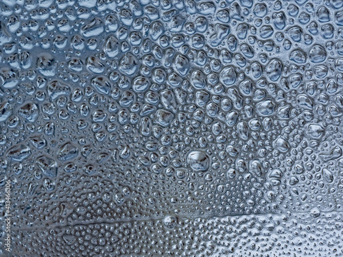 Ice structures on window glass 