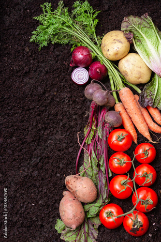 Vegetables with a soil background