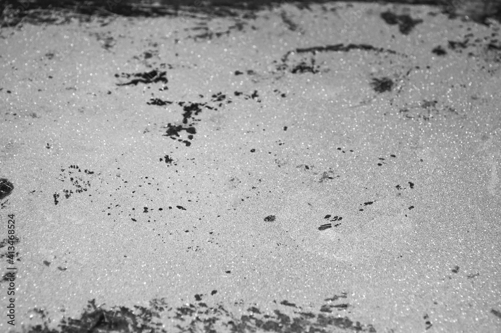 surface, grunge, gray, black, tin surface, grunge, gray, black, tin