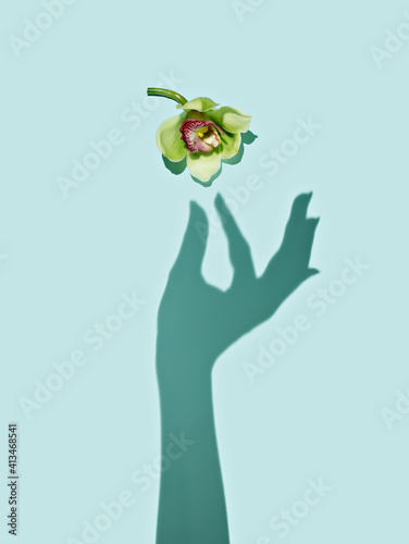 Shadow of a female hand reaching for orchid flower on pastel mint background. Minimal Valentines day, wedding, romantic or 8th march greeting card. Creative spring bloom concept. Flat lay. © Aleksandar