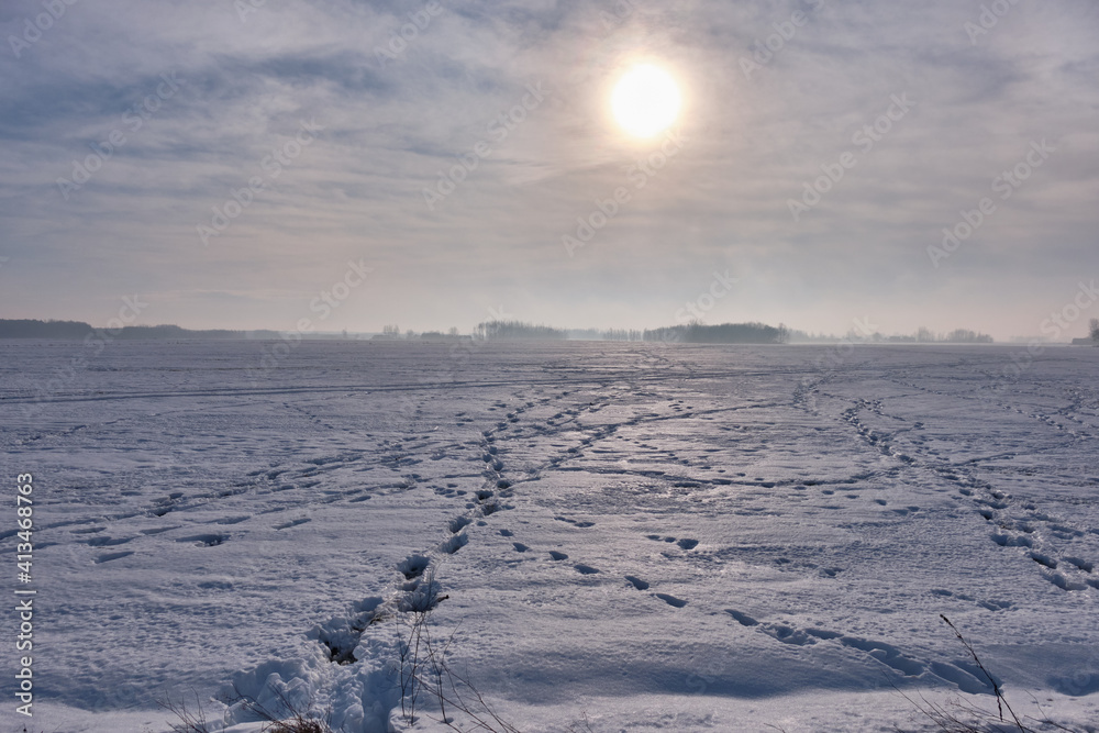 Winter landscape with animal track