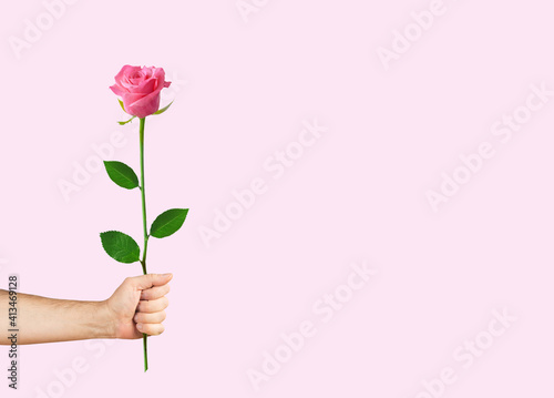 Men s hand holding pink rose