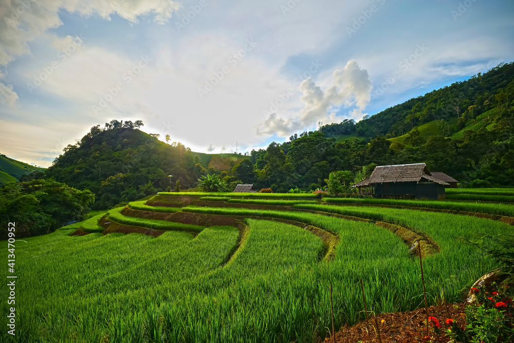 Pa Pong Piang Rice Terraces in the north of chiangmai Thailand.. Pa Pong Piang Rice Terraces in the north of chiangmai Thailand..