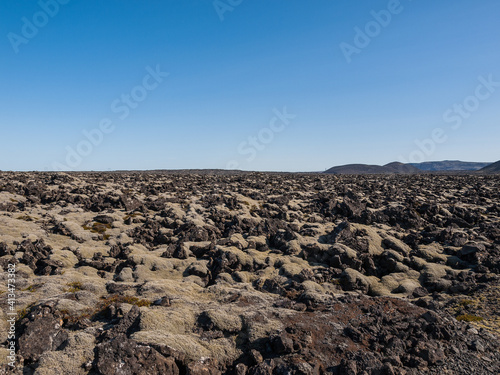 The lava field with moss in Iceland