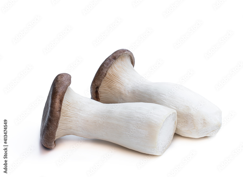King Oyster mushroom isolated on white King Oyster mushroom isolated on white
