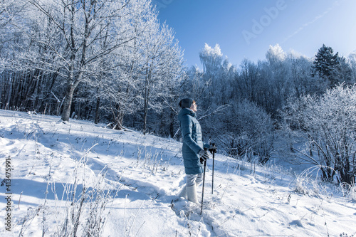 Senior woman walking in the winter forest using Nordic walking sticks. Active lifestyle, adventure concept. Nordic walking in winter