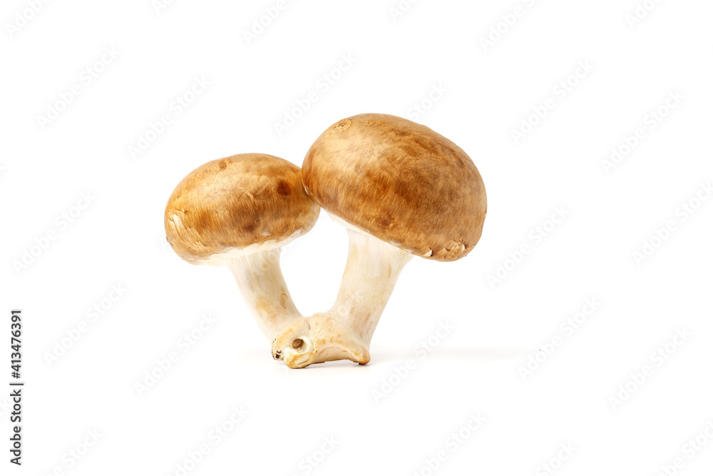 Pair of royal champignons isolated on white background. Pair of royal champignons isolated on white background.