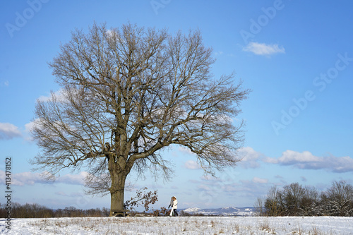 Wallpaper Mural Winterspaziergang 2 Personen und einzelner Baum bei Schnee und Sonnenschein Torontodigital.ca