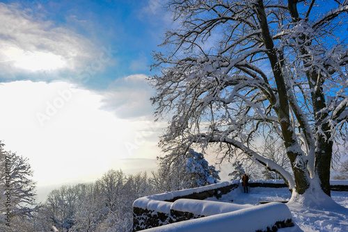 Der Hohentwiel im Hegau photo