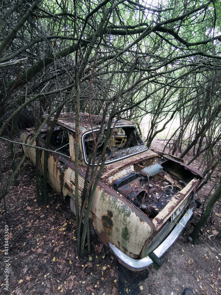 Fototapeta premium completely overgrown abandoned car