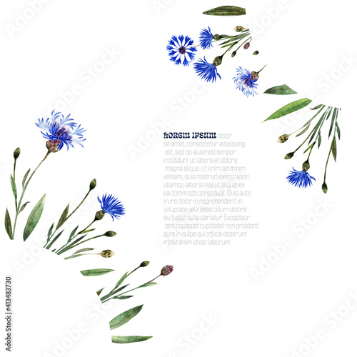 Watercolor frame with twigs, leaves, buds and flowers of the cornflower plant

