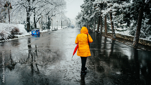 Snowy park in the city of Belgrade