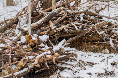 many branches lie in a heap in the snow 