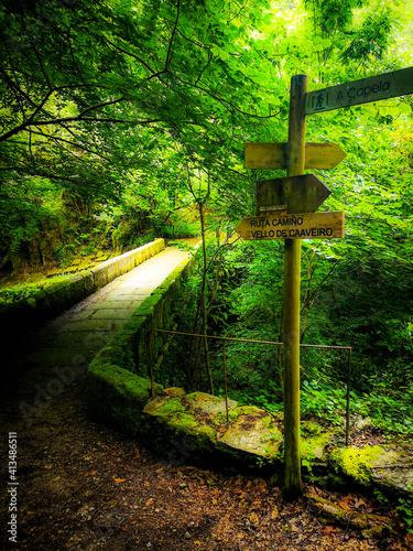 Fragas do Eume, Pontedeume, A Coruña