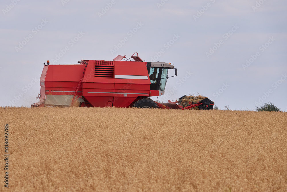 Fototapeta premium Mähdrescher im Ernteeinsatz