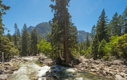 Fluss im Yosemite Nationalpark photo